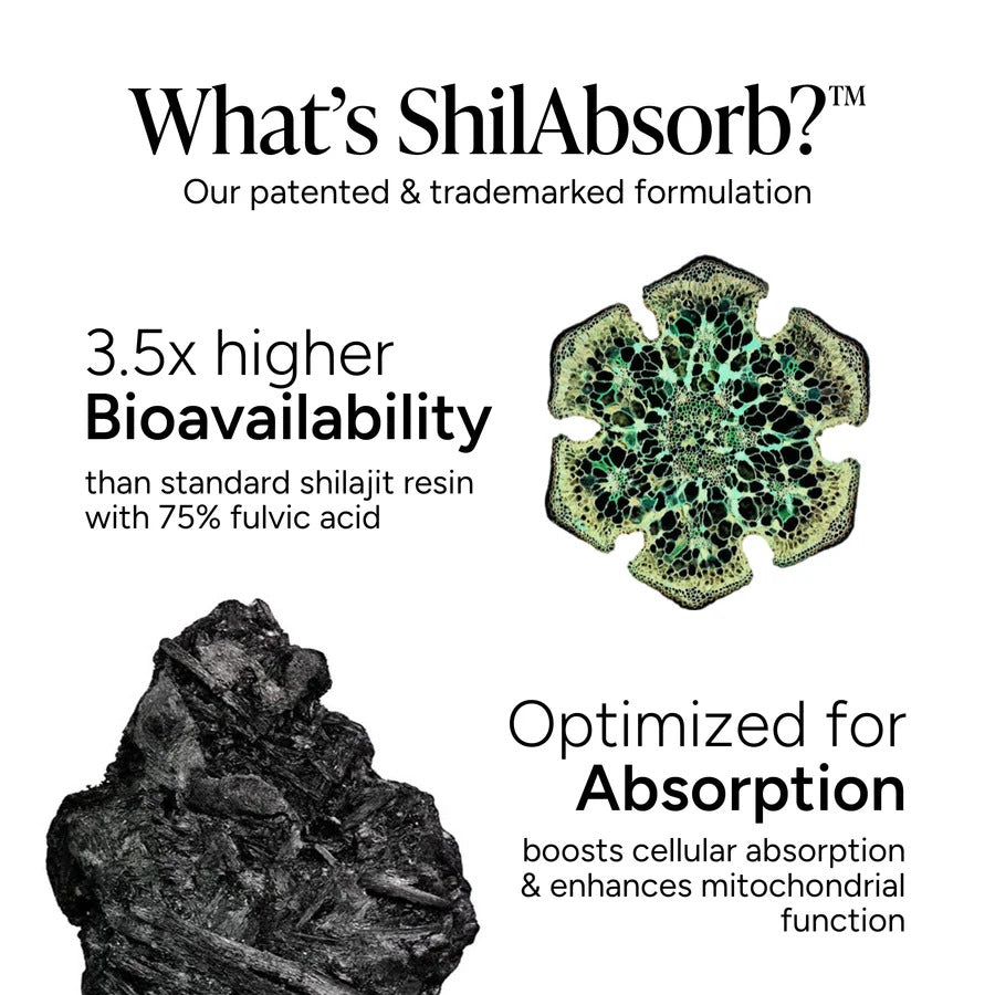 10-in-1 Alpha Shilajit Gummies | 4000 mg Pure Himalayan Shilajit, Tongkat Ali, Maca Root, 75% Fulvic Acid | ShilAbsorb Bioavailability Tech | Sugar-Free Vegan, 85+ Trace Minerals | 120 Pack